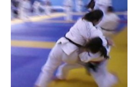 Stage de judo le 15, 16 et 18 Février 2011