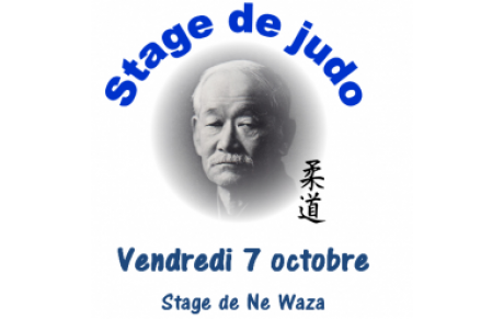 Stage de judo avec des Hauts Gradés Japonnais