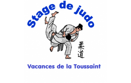 Stage de Judo pendant les vacances